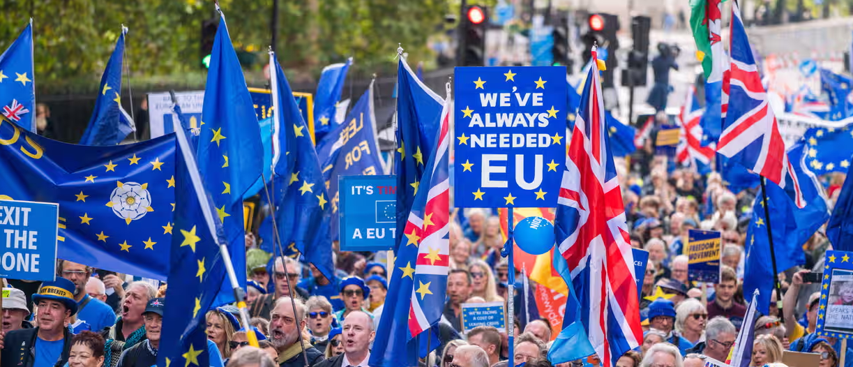 Members of the public in a demonstration supporting rejoining the EU