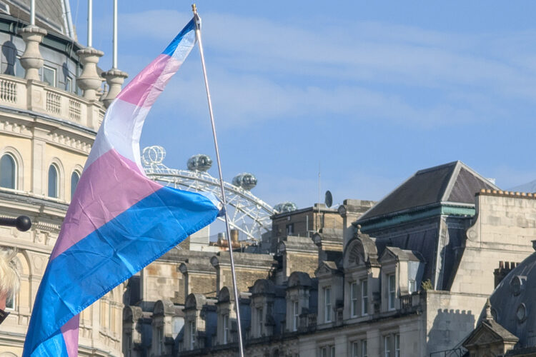 A trans pride flag flutters in front of central London rooftops and the London Eye